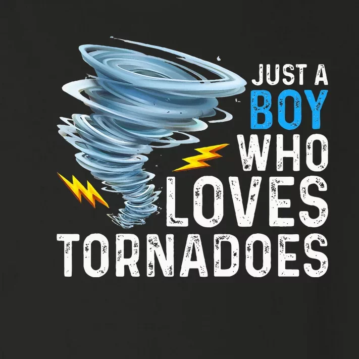 Just A Boy Who Loves Tornadoes Storm Weather Chaser Toddler Long Sleeve Shirt