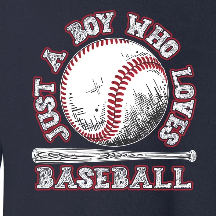 Just A Boy Who Loves Baseball Toddler Sweatshirt