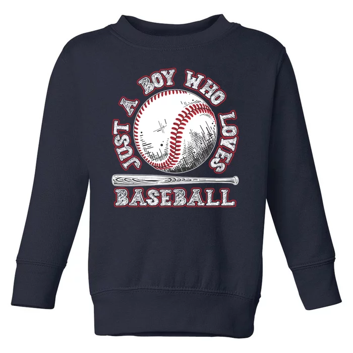 Just A Boy Who Loves Baseball Toddler Sweatshirt