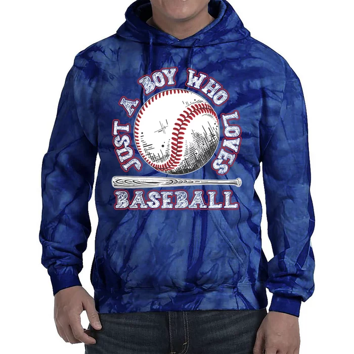 Just A Boy Who Loves Baseball Tie Dye Hoodie