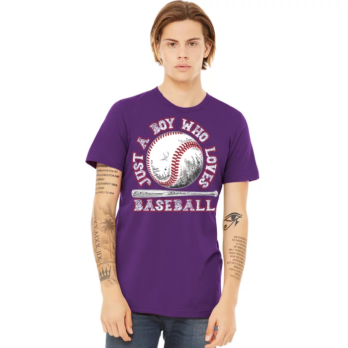 Just A Boy Who Loves Baseball Premium T-Shirt