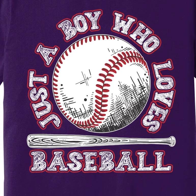 Just A Boy Who Loves Baseball Premium T-Shirt