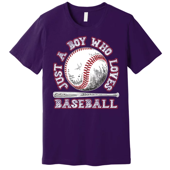 Just A Boy Who Loves Baseball Premium T-Shirt