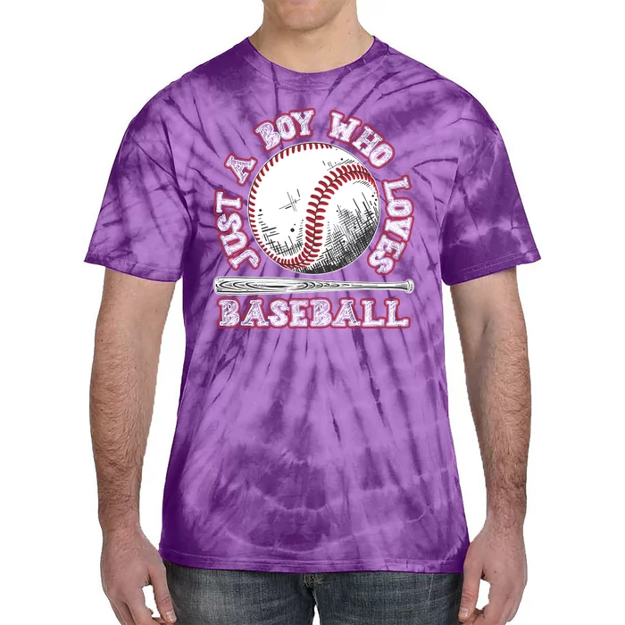 Just A Boy Who Loves Baseball Tie-Dye T-Shirt