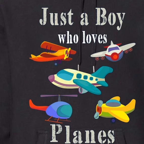 Just A Boy Who Loves Planes Airplane Premium Hoodie