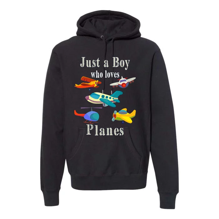 Just A Boy Who Loves Planes Airplane Premium Hoodie