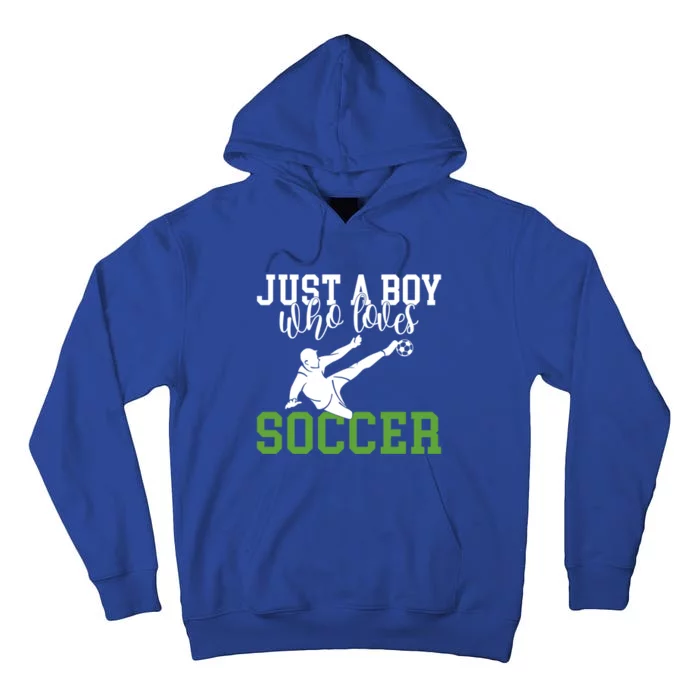 Just A Boy Who Loves Soccer Gift Tall Hoodie