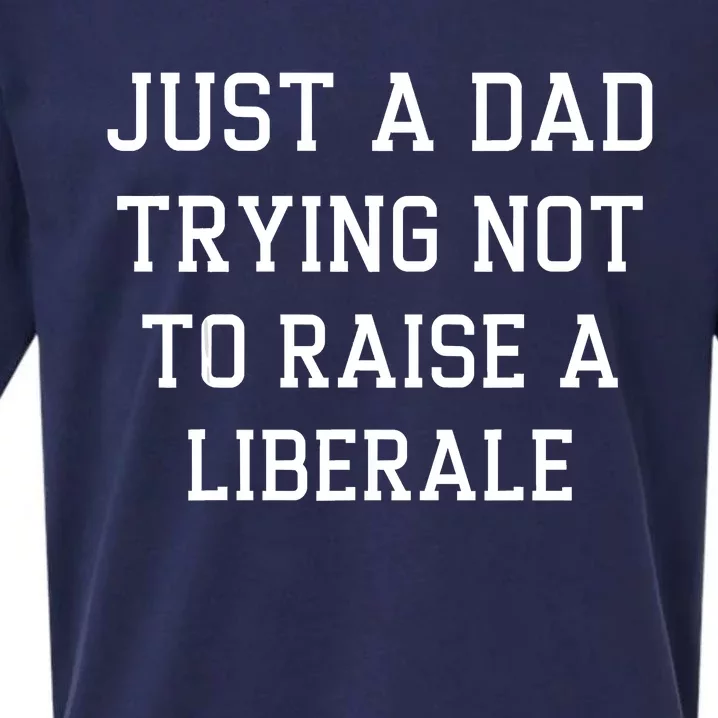 Just A Dad Trying Not To Raise A Liberal Sueded Cloud Jersey T-Shirt