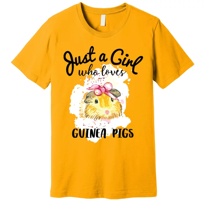 Just A Girl Who Loves Guinea Pigs Shirts Animal Lover Gift Premium T-Shirt