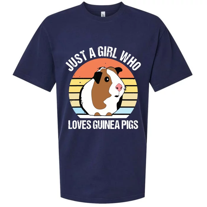 Just A Girl Who Loves Guinea Pigs Vintage Guinea Pig Sueded Cloud Jersey T-Shirt