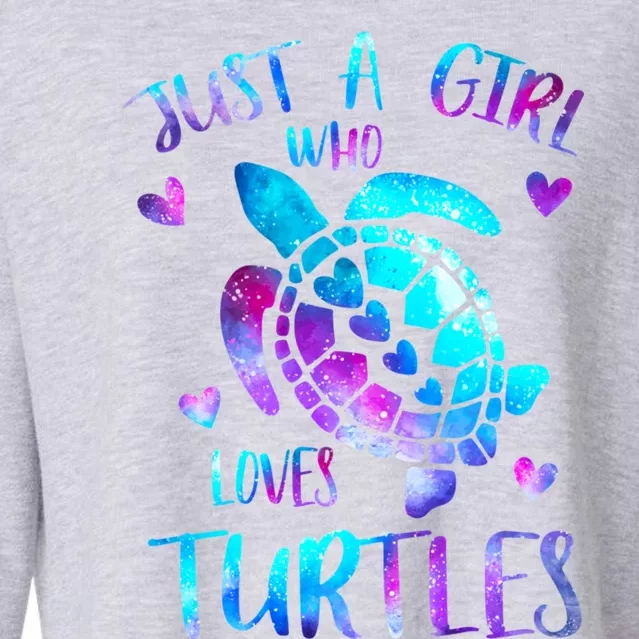 Just A Girl Who Loves Turtles Galaxy Space Sea Turtle Lover Meaningful Gift Cropped Pullover Crew