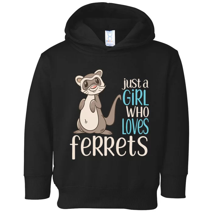 Just A Girl Who Loves Ferrets Gift For Girl Women Toddler Hoodie