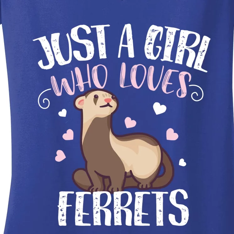 Just A Girl Who Loves Ferrets Cool Gift Women's V-Neck T-Shirt