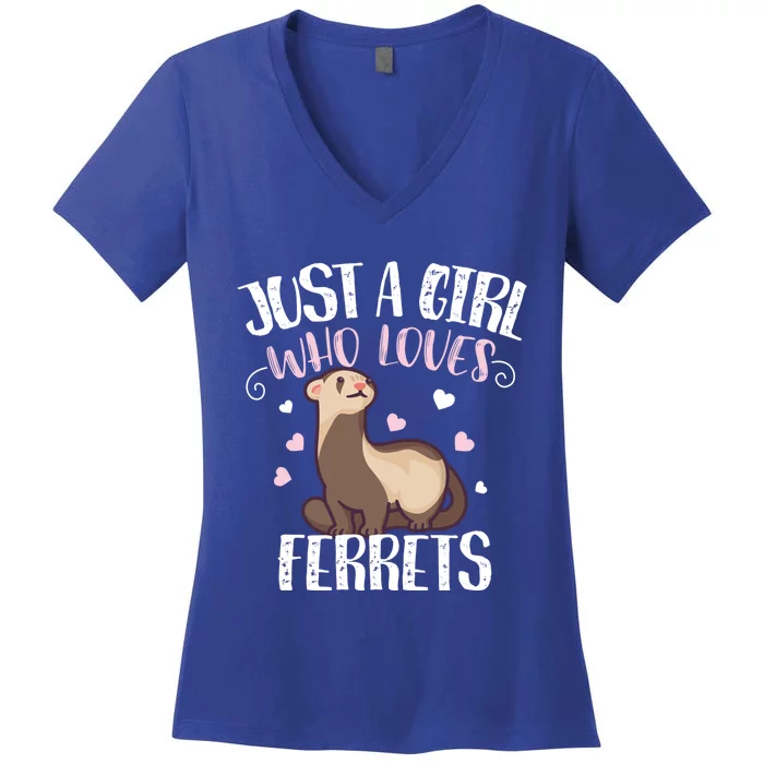 Just A Girl Who Loves Ferrets Cool Gift Women's V-Neck T-Shirt