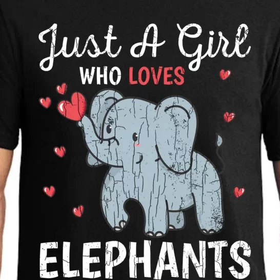 Just A Girl Who Loves Elephants Funny Cute Wo Graphic Pajama Set