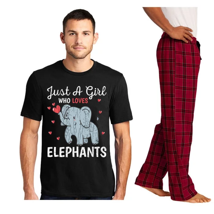 Just A Girl Who Loves Elephants Funny Cute Wo Graphic Pajama Set