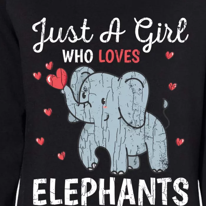 Just A Girl Who Loves Elephants Funny Cute Wo Graphic Womens California Wash Sweatshirt