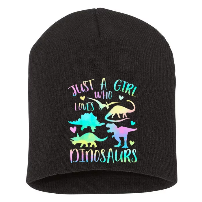 Just A Girl Who LovesDinosaurs Dinosaur Teen Gifts Short Acrylic Beanie