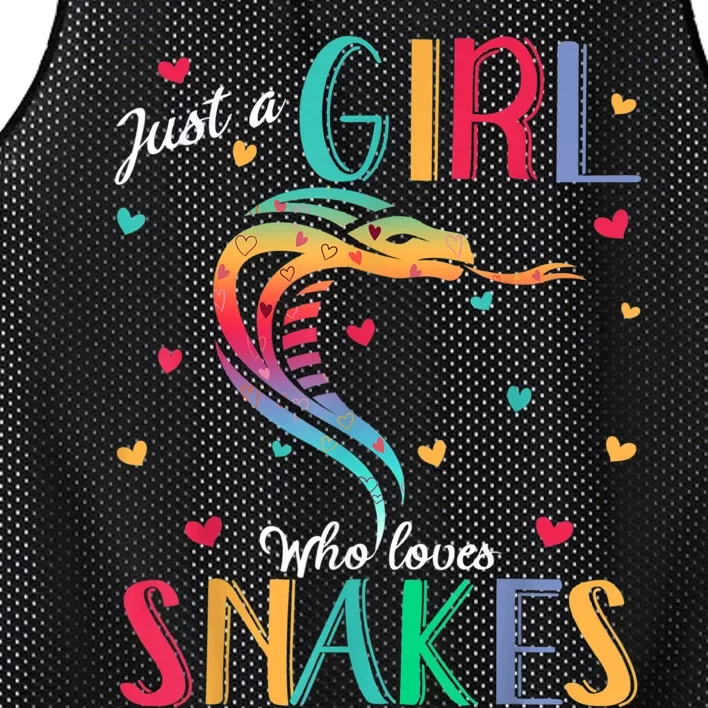 Just A Girl Who Loves Snakes Snake Gift Mesh Reversible Basketball Jersey Tank