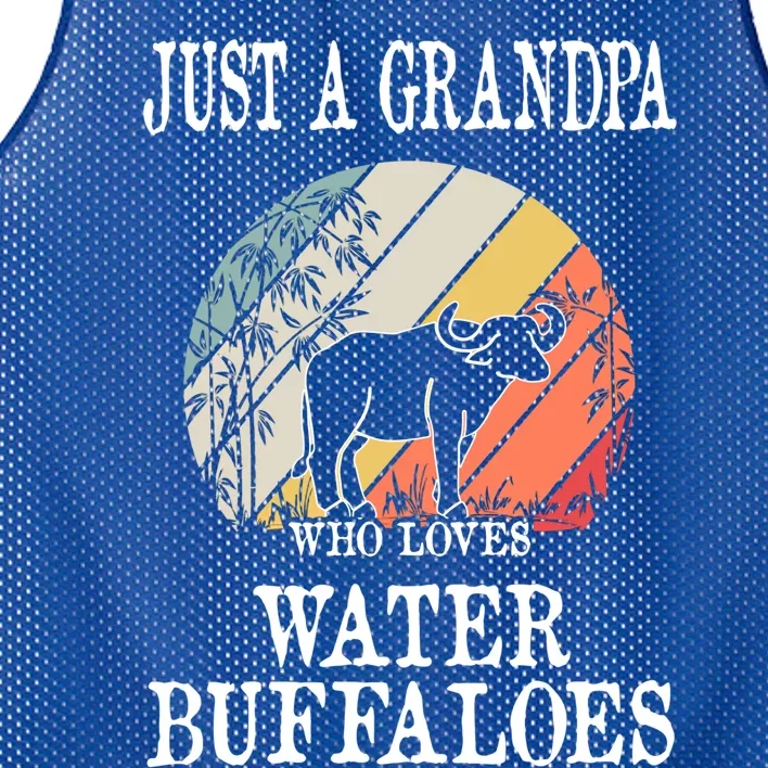 Just A Grandpa Who Loves Water Buffaloes Cool Gift Mesh Reversible Basketball Jersey Tank