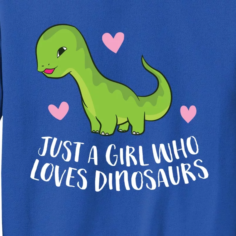 Just A Girl Who Loves Dinosaurs Cute Dinosaurs Girl Great Gift Tall Sweatshirt