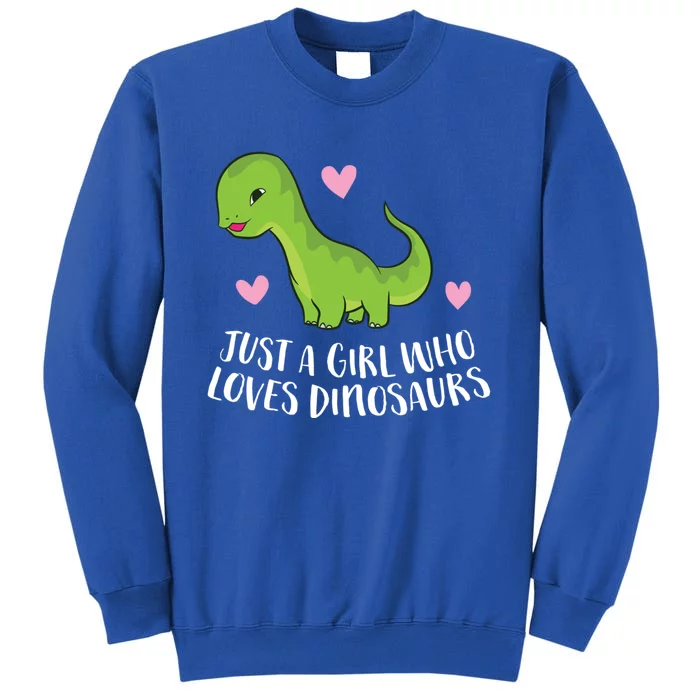 Just A Girl Who Loves Dinosaurs Cute Dinosaurs Girl Great Gift Tall Sweatshirt