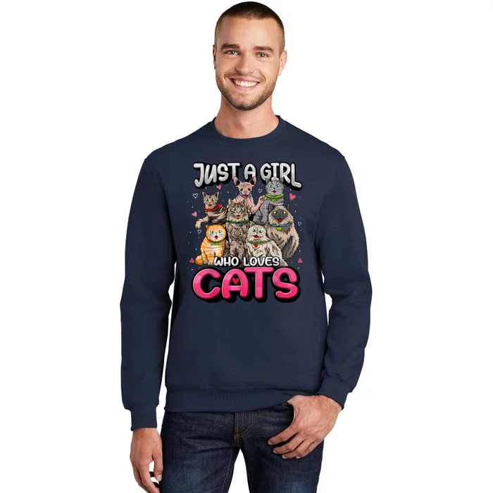 Just A Girl Who Loves Cats Cute Cat Lover Cat Mom Girl Sweatshirt