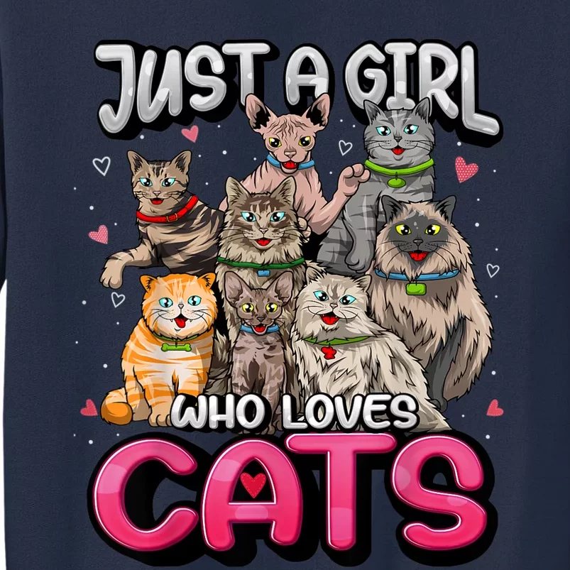 Just A Girl Who Loves Cats Cute Cat Lover Cat Mom Girl Sweatshirt