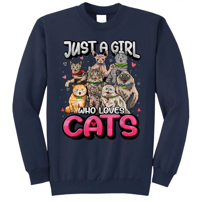 Just A Girl Who Loves Cats Cute Cat Lover Cat Mom Girl Sweatshirt