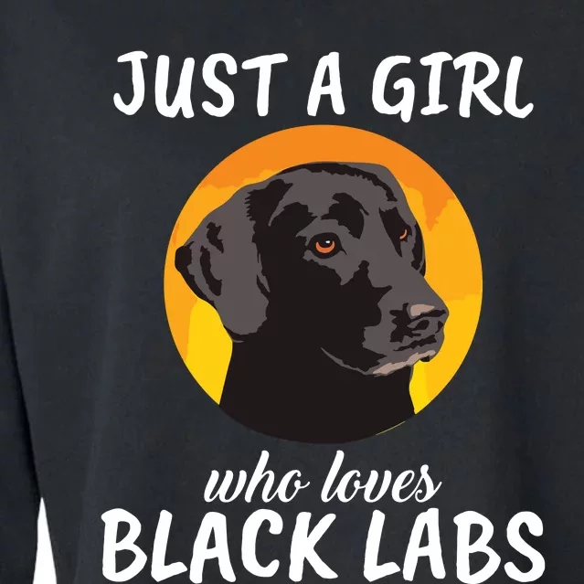 Just A Girl Who Loves Black Labs Clothes Gift Black Labrador Cropped Pullover Crew