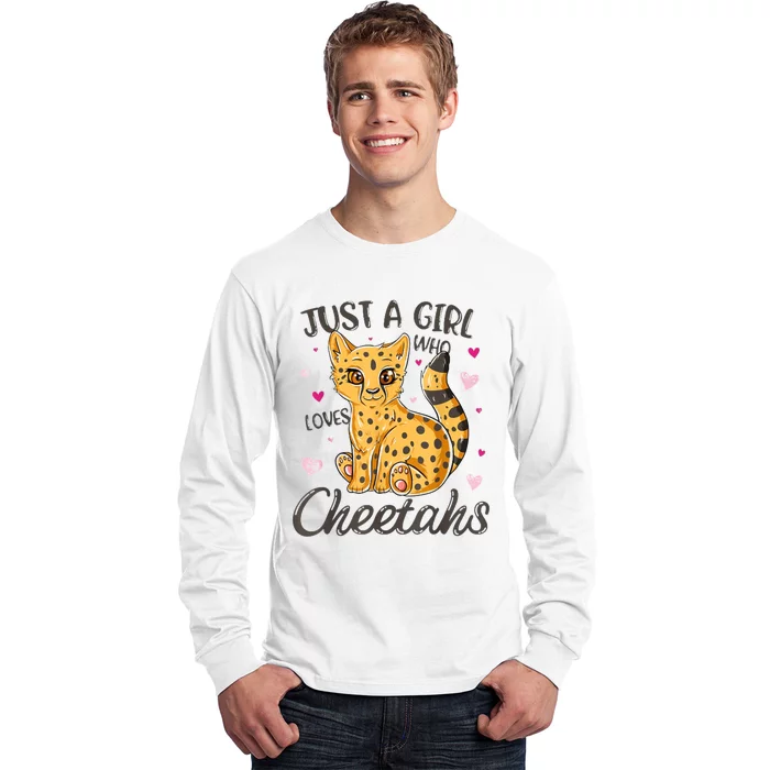 Just A Girl Who Loves Cheetahs Women Cheetah Cat Lover Gift Long Sleeve Shirt