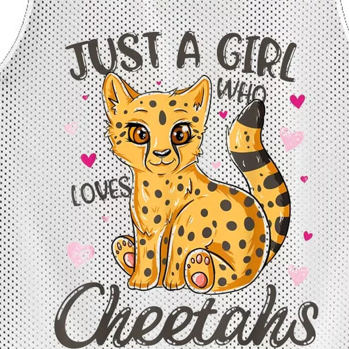 Just A Girl Who Loves Cheetahs Women Cheetah Cat Lover Gift Mesh Reversible Basketball Jersey Tank