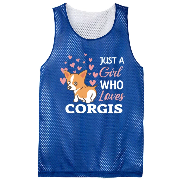 Just A Girl Who Loves Corgis Gift Love Corgis Gift Mesh Reversible Basketball Jersey Tank