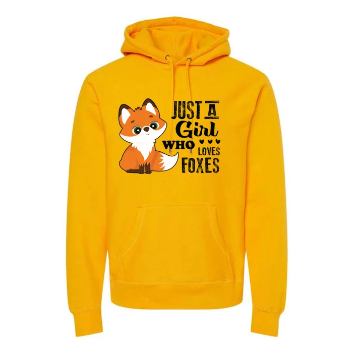 Just A Girl Who Loves Foxes Fox Lover Gift Premium Hoodie