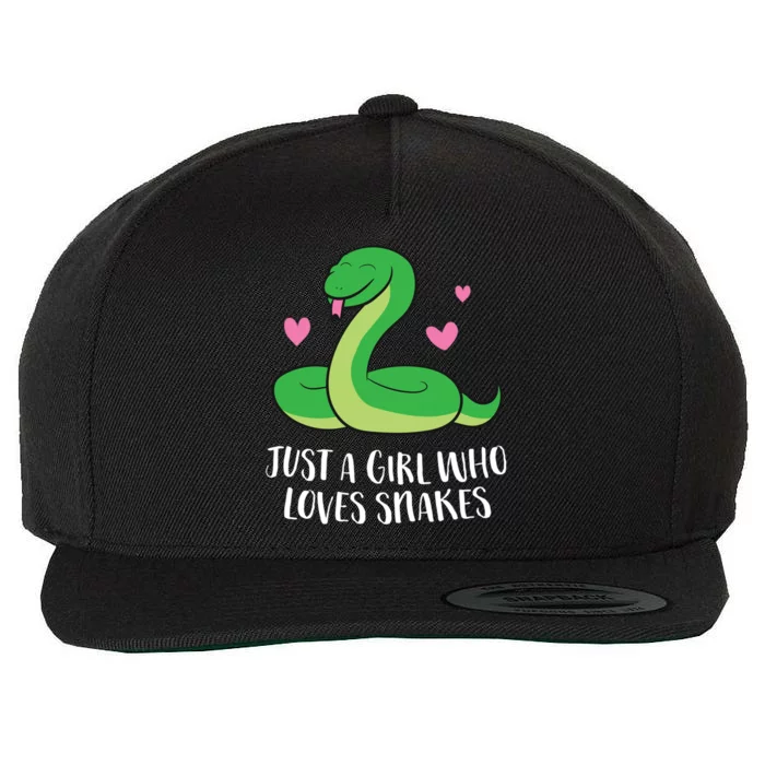 Just A Girl Who Loves Snakes Cute Snake Girl Gift Wool Snapback Cap