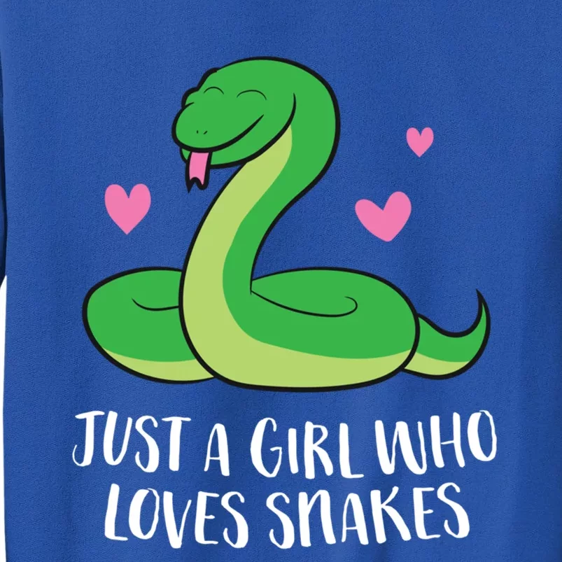 Just A Girl Who Loves Snakes Cute Snake Girl Gift Tall Sweatshirt