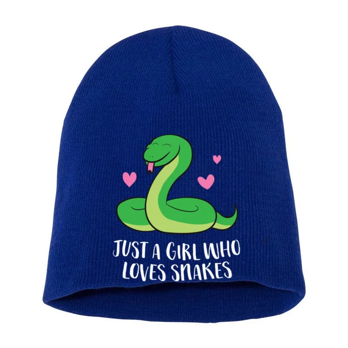 Just A Girl Who Loves Snakes Cute Snake Girl Gift Short Acrylic Beanie