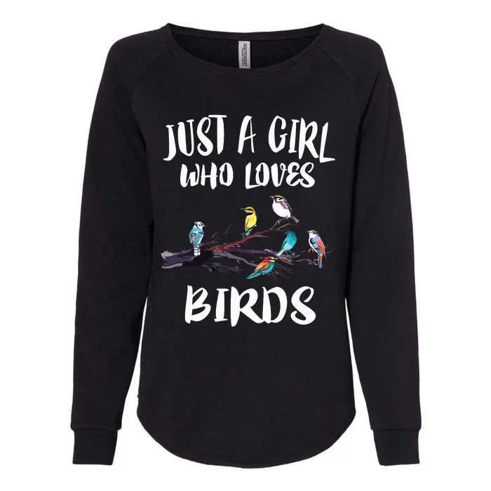 Just A Girl Who Loves Birds Birding Bird Watching Gift Womens California Wash Sweatshirt