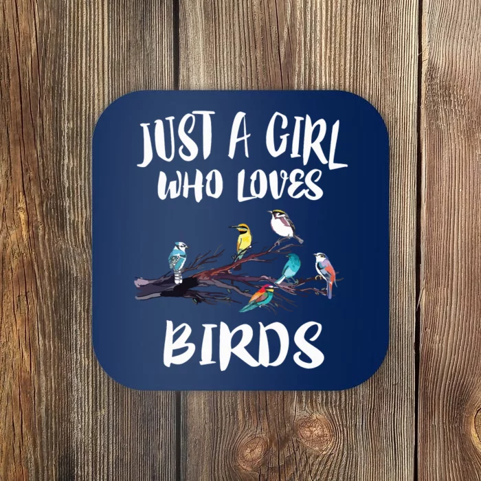 Just A Girl Who Loves Birds Birding Bird Watching Gift Coaster