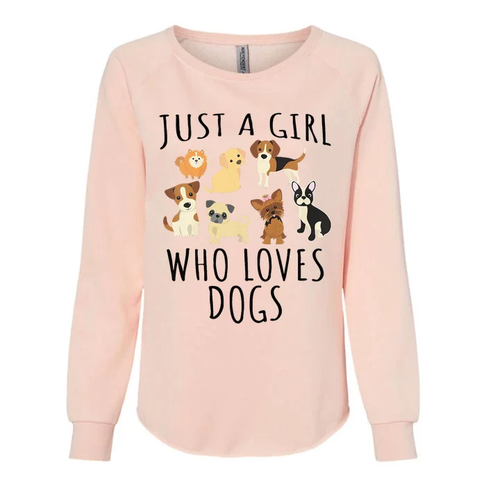 Just A Girl Who Loves Dogs Funny Puppy Womens California Wash Sweatshirt