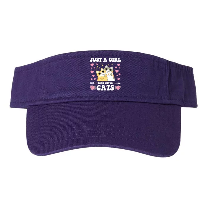 Just A Girl Who Loves Cats Valucap Bio-Washed Visor