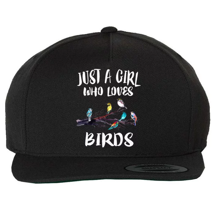 Just A Girl Who Loves Birds Birding Bird Watching Gift Wool Snapback Cap