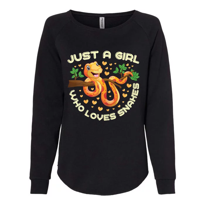 Just A Girl Who Loves Snakes Funny Snake Lover Gifts Womens California Wash Sweatshirt