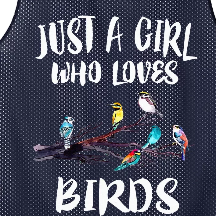 Just A Girl WhoLoves Birds Birding BirdWatching Gift Mesh Reversible Basketball Jersey Tank