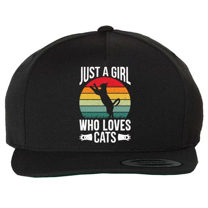 Just A Girl Who Loves Cats Graphic Wool Snapback Cap