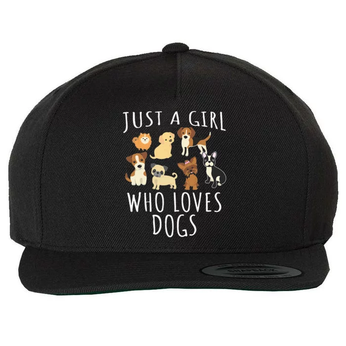 Just A Girl Who Loves Dogs Wool Snapback Cap