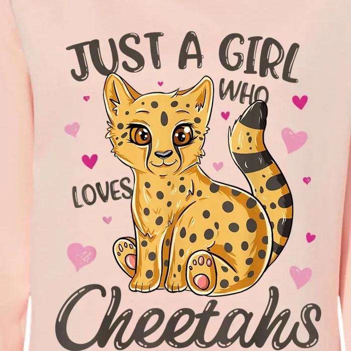 Just A Girl Who Loves Cheetahs Women Cheetah Cat Lover Gift TShirt Womens California Wash Sweatshirt