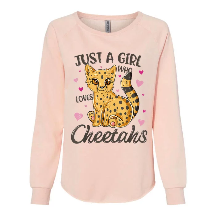 Just A Girl Who Loves Cheetahs Women Cheetah Cat Lover Gift TShirt Womens California Wash Sweatshirt