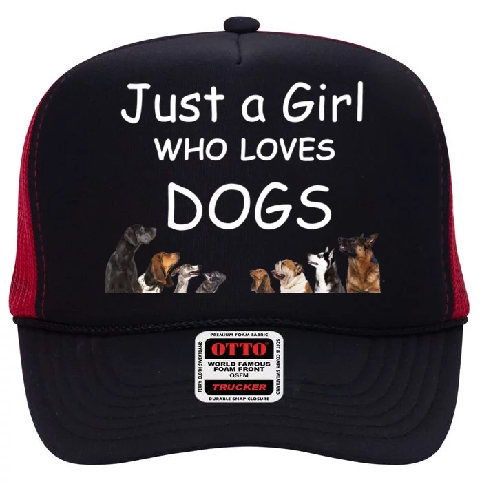 Just A Girl Who Loves Dogs Dog Lover Gift For Gift High Crown Mesh Trucker Hat