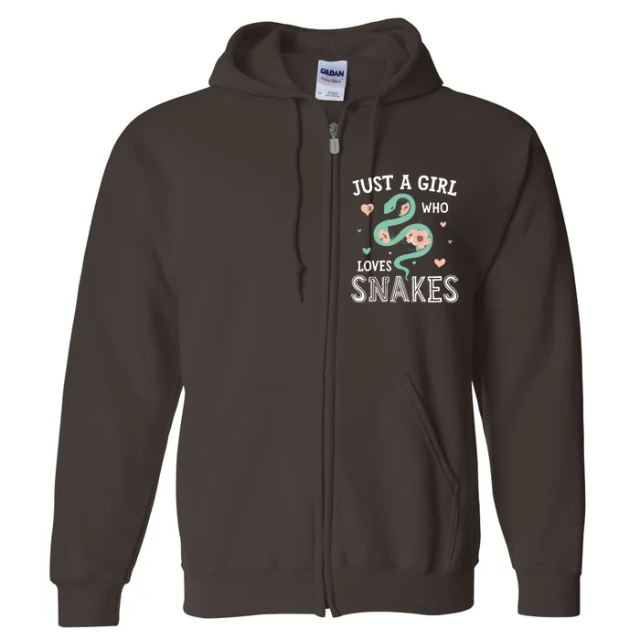 Just A Girl Who Loves Snakes Women Snake Lover Full Zip Hoodie